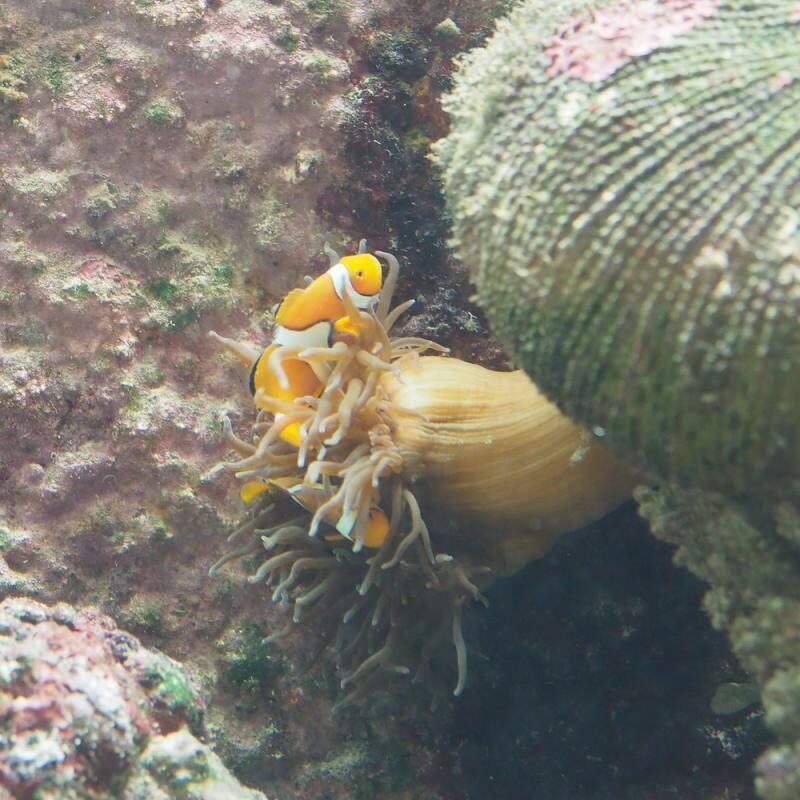 10 Things to Do in Cairns (That Locals Actually Recommend)