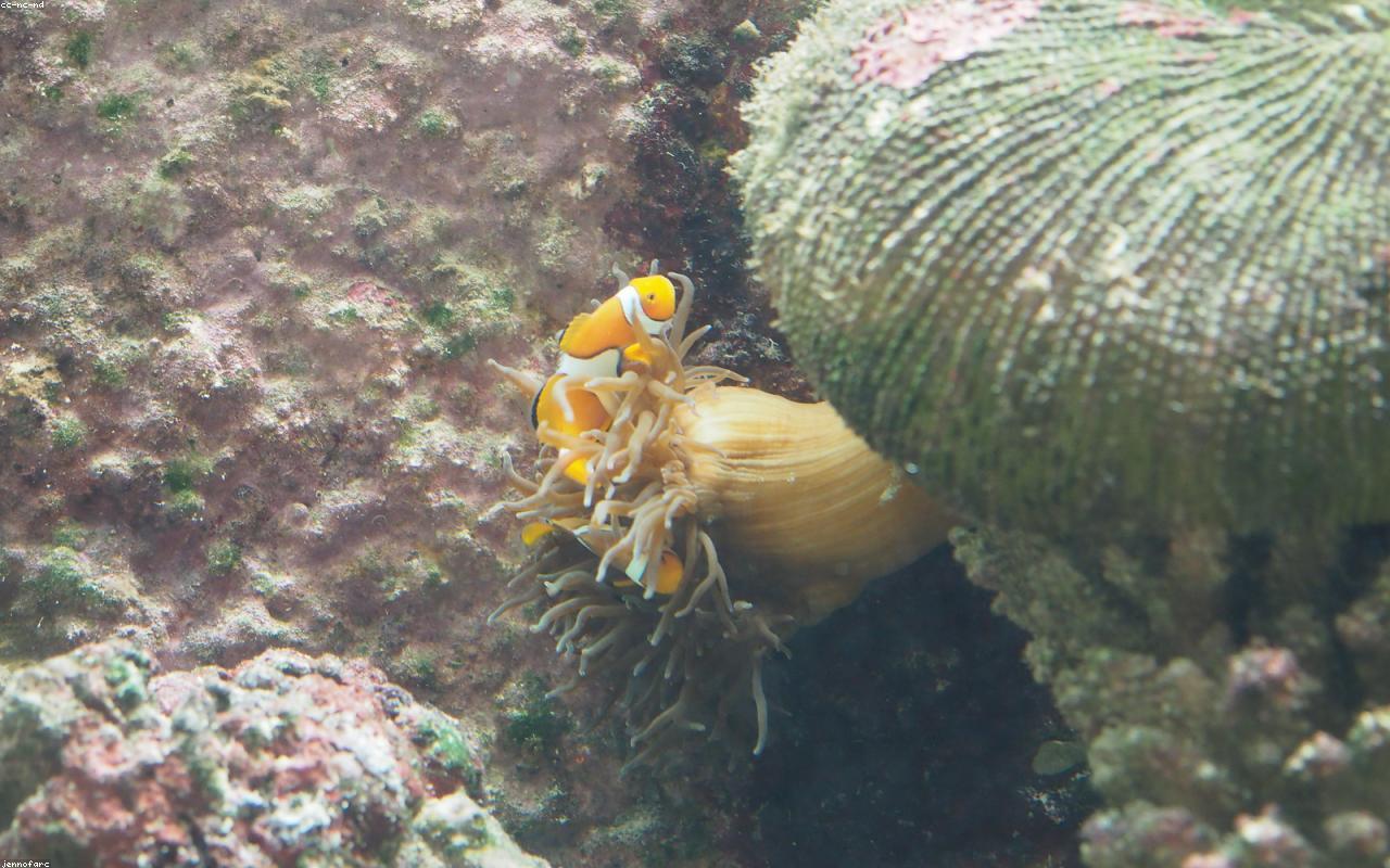 10 Things to Do in Cairns (That Locals Actually Recommend)