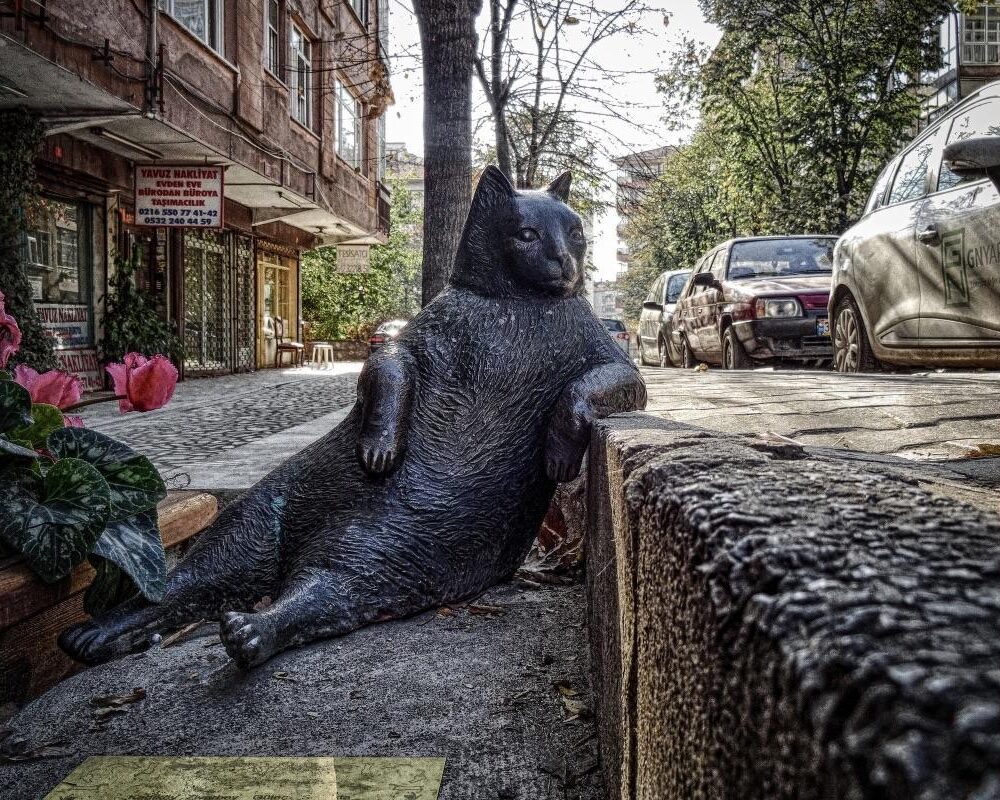 Bondi Beach: A Locals’ Guide to Sydney’s Most Famous Sand | Saltrove