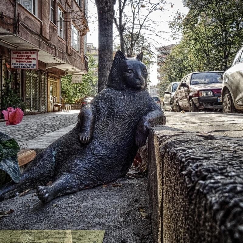 Bondi Beach: A Locals’ Guide to Sydney’s Most Famous Sand