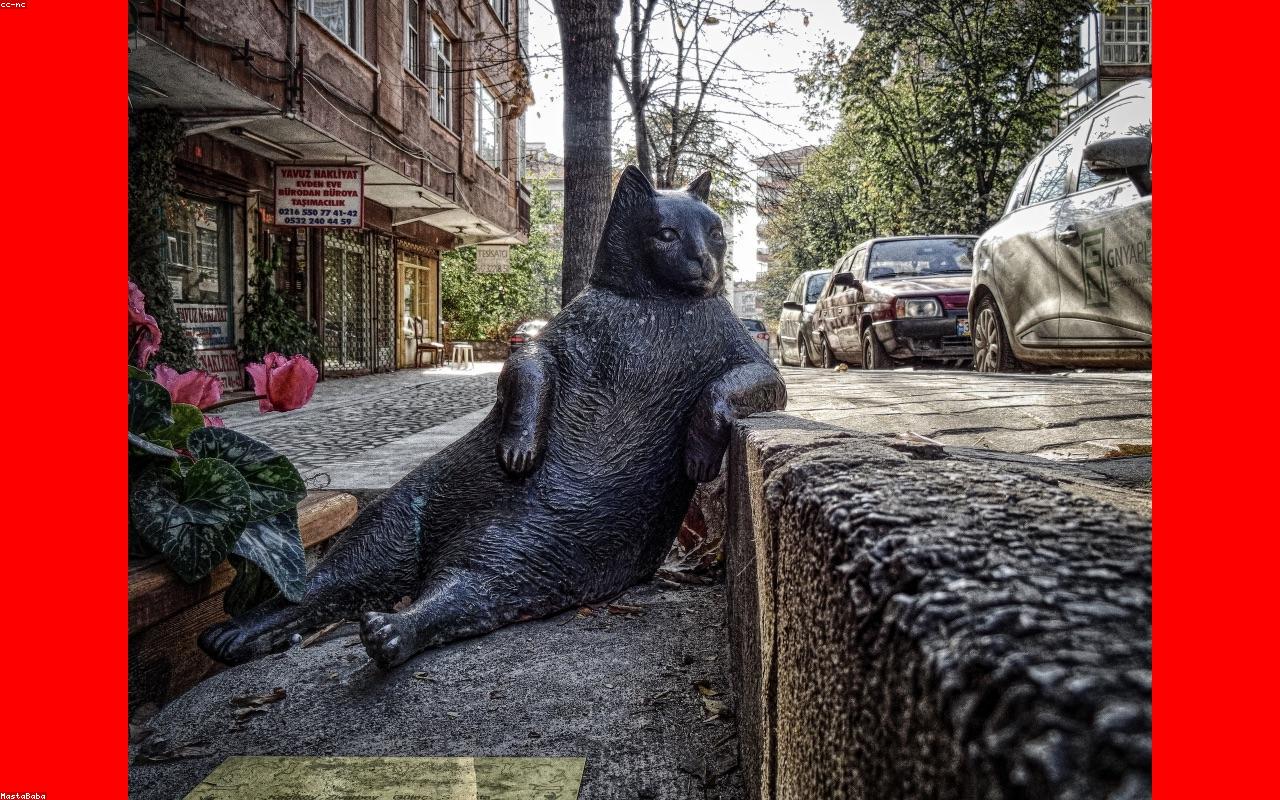 Bondi Beach: A Locals’ Guide to Sydney’s Most Famous Sand