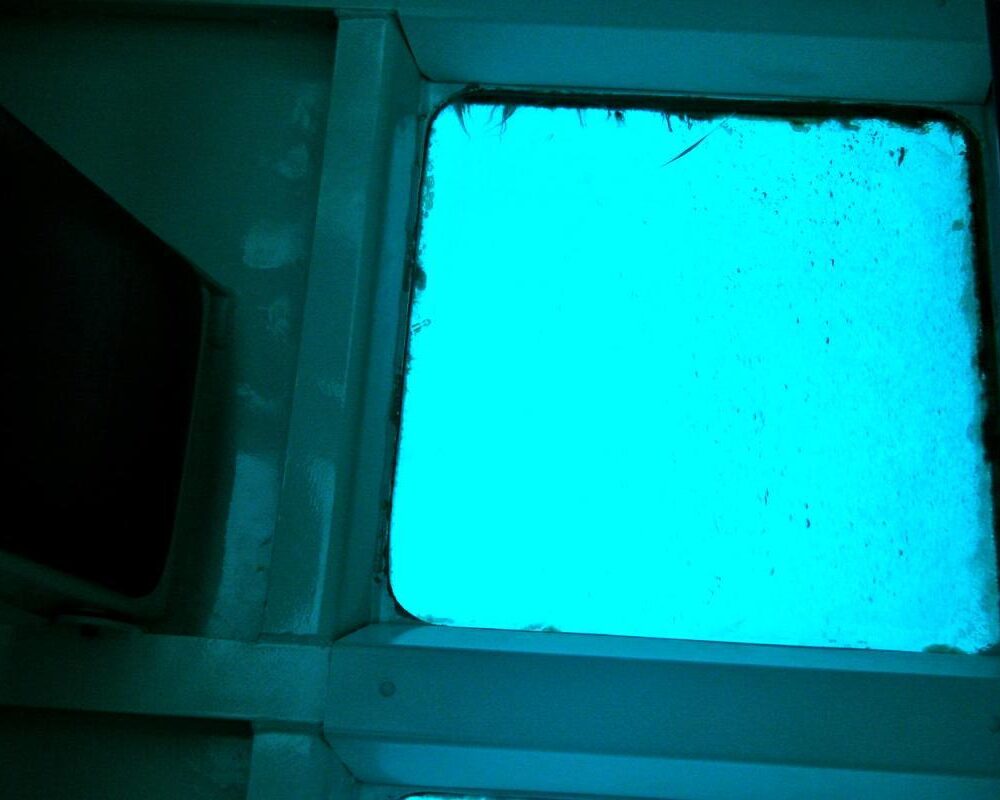 Great Barrier Reef on a Budget: How to See It for Under $200 | Saltrove