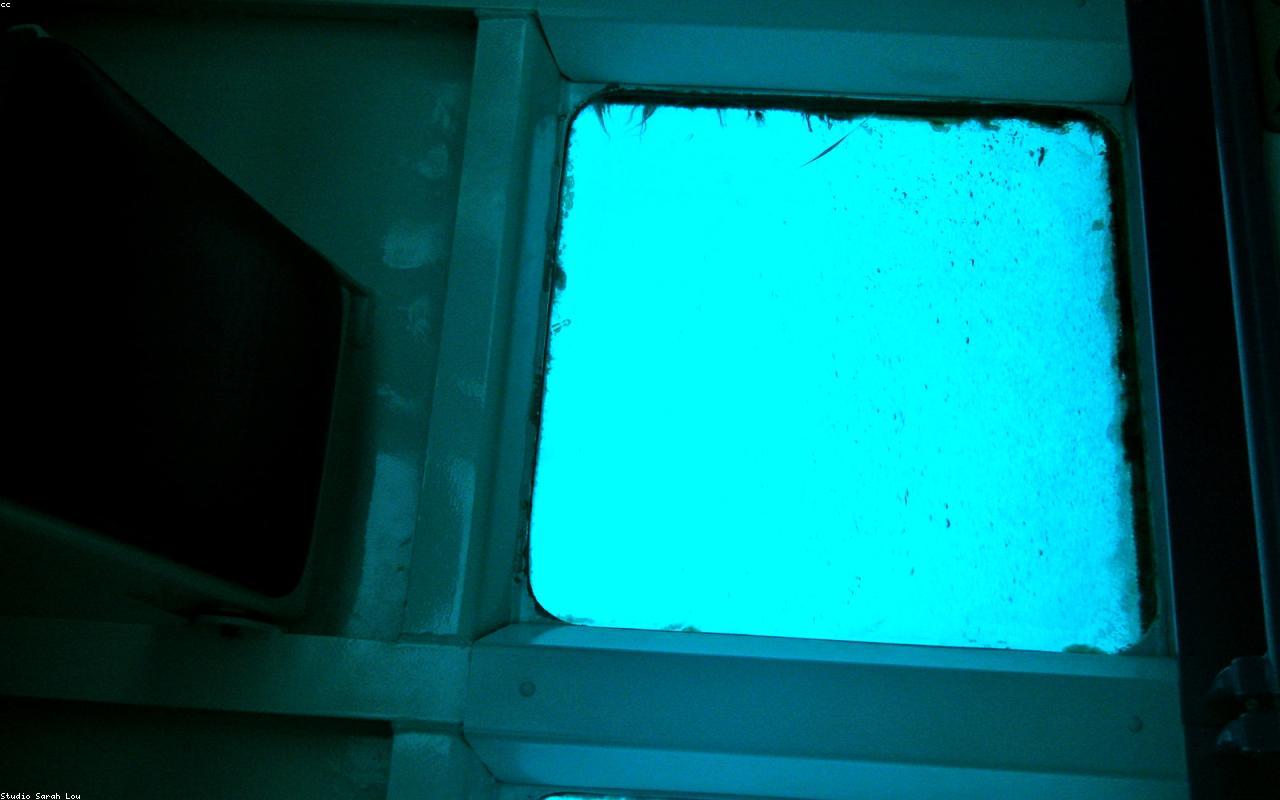 Great Barrier Reef on a Budget: How to See It for Under $200