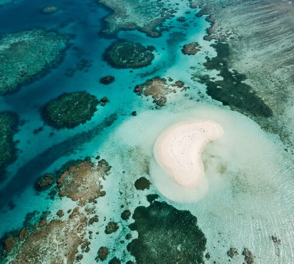 Great Barrier Reef on a Budget: The $300 Reality Check (2026) | Saltrove