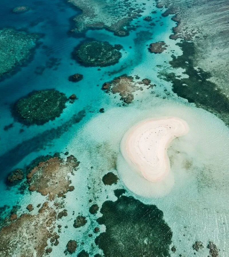 Great Barrier Reef on a Budget: The $300 Reality Check (2026)