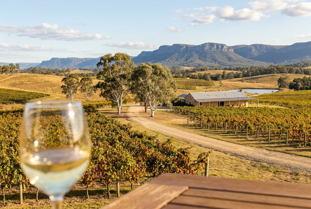 Hunter Valley vineyard rows on golden hills with Brokenback Range in distance NSW